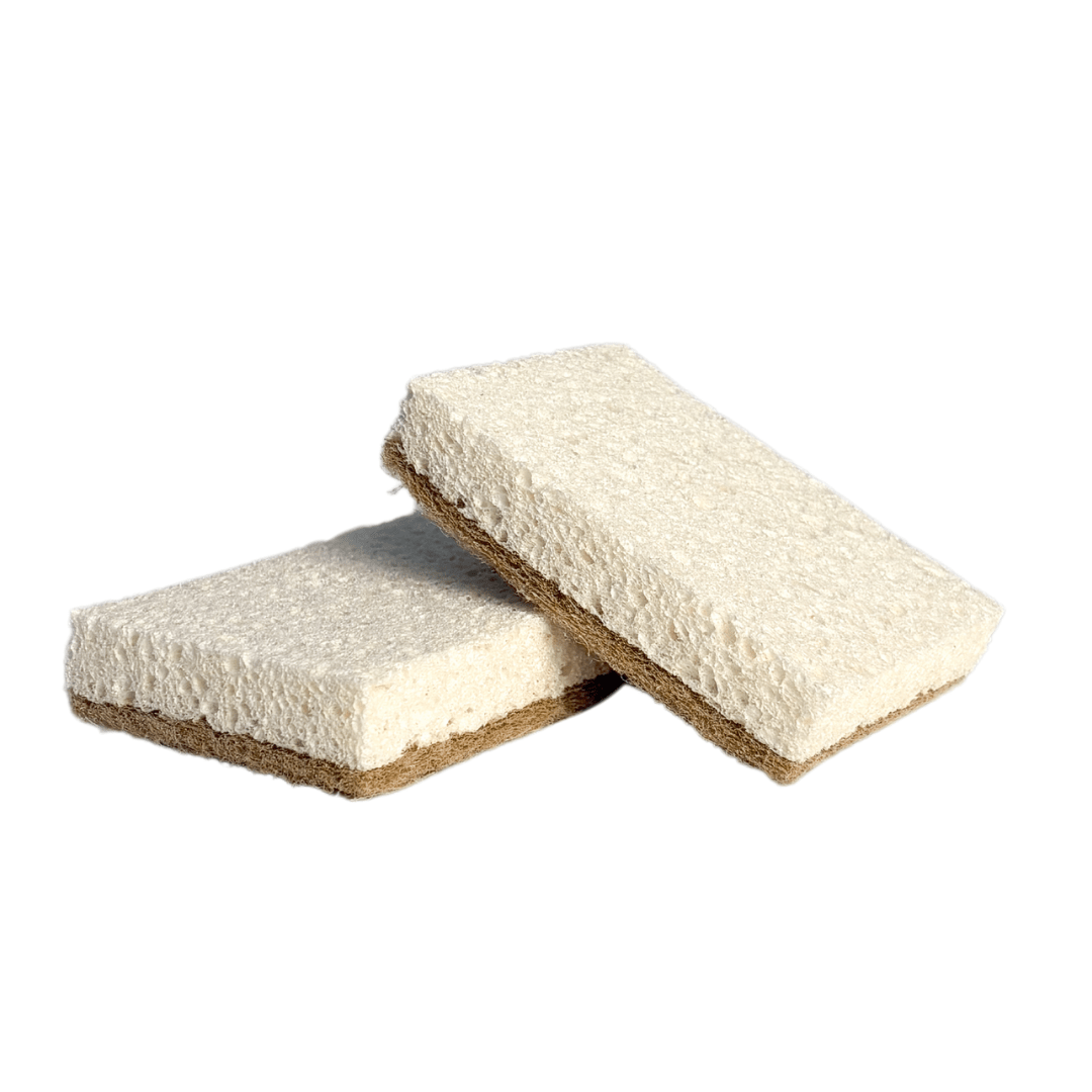 bluu spongeblub – Antikratz - Schwämme - Anania's Shop