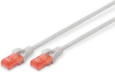 Netzwerkkabel / Patchkabel (RJ45) (PRE - ORDER) - Anania's Shop